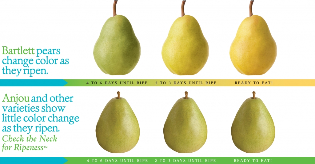 Handling Usa Pears Trade Site